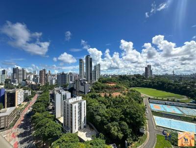 imagem-miniatura